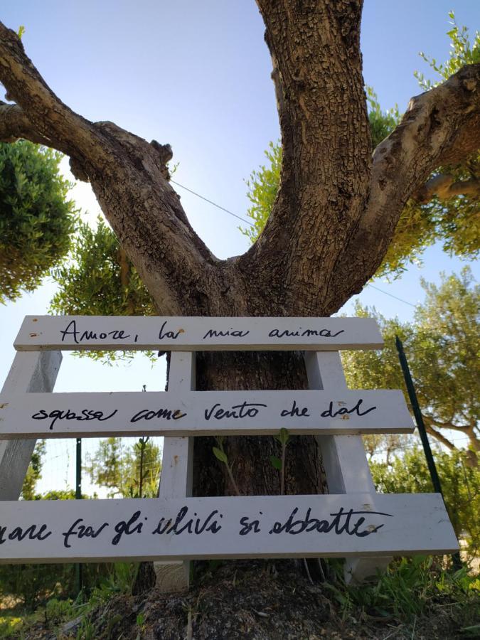 托里诺迪桑格罗Relais Il Giardino Fra Gli Ulivi别墅 外观 照片