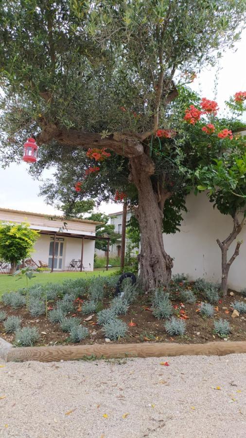 托里诺迪桑格罗Relais Il Giardino Fra Gli Ulivi别墅 外观 照片