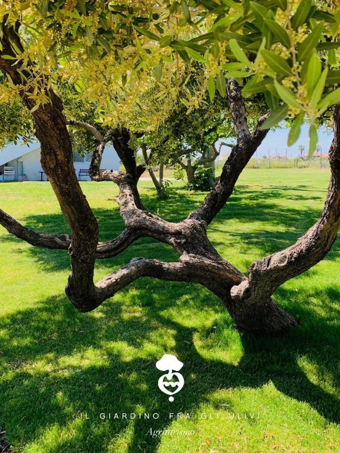托里诺迪桑格罗Relais Il Giardino Fra Gli Ulivi别墅 外观 照片