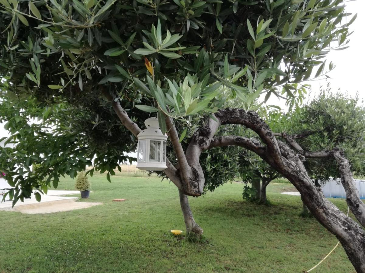 托里诺迪桑格罗Relais Il Giardino Fra Gli Ulivi别墅 外观 照片